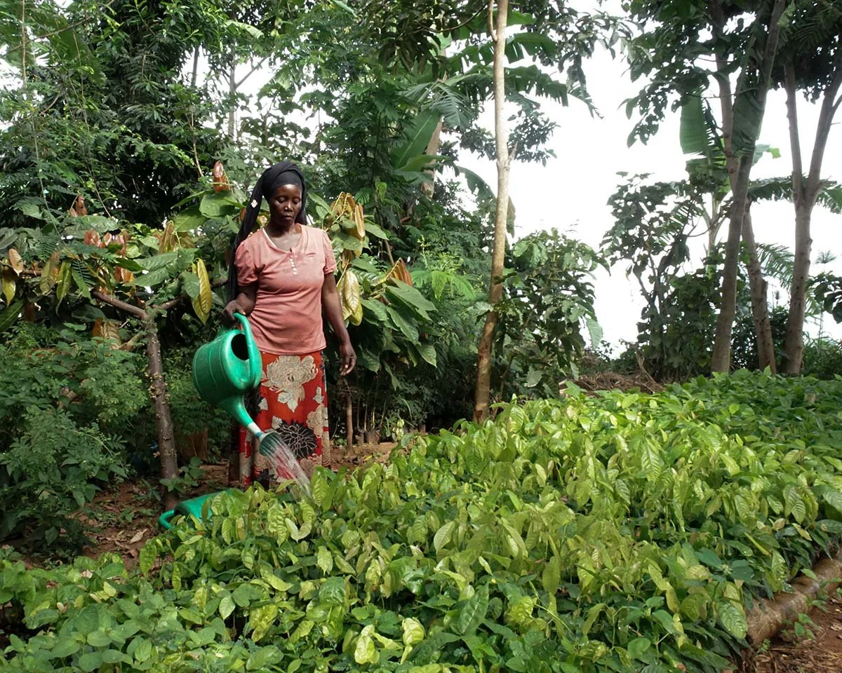watering-plants-buvuma.jpg