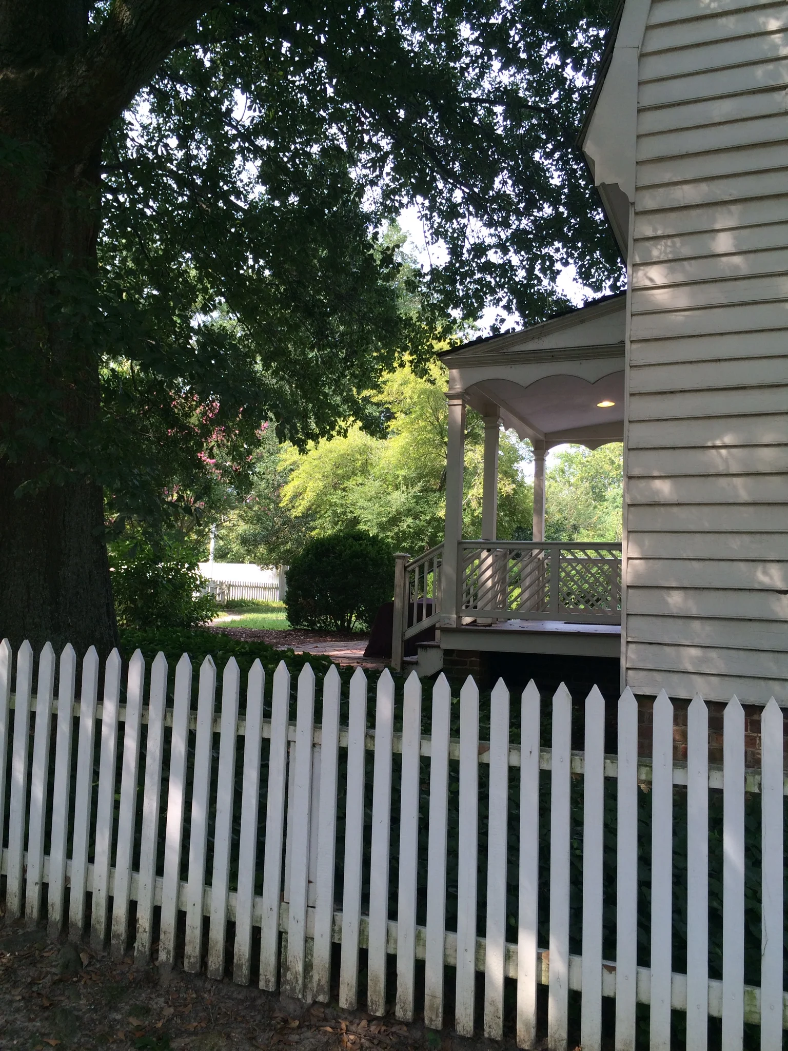 bicycle for morning exercise