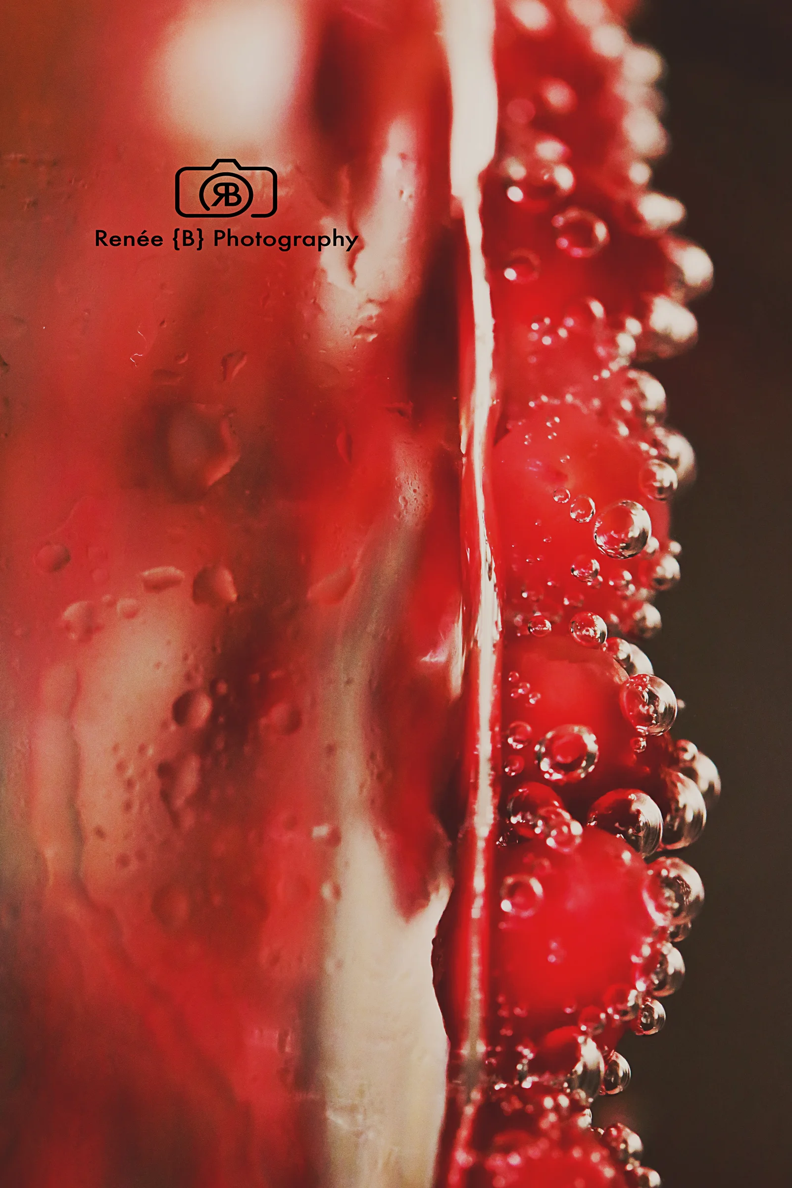 BF1A0875-2 copy_edited-1.jpg