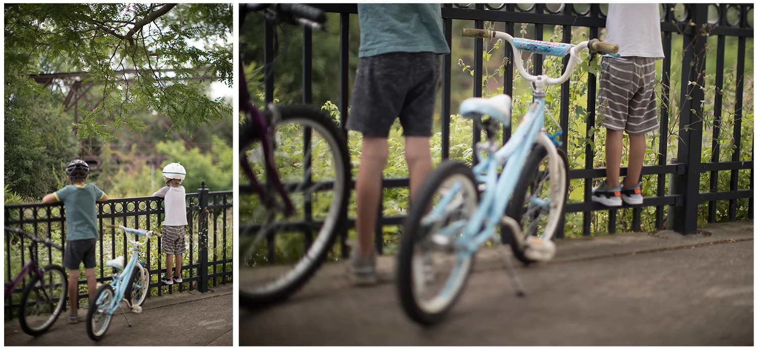 bikes.jpg