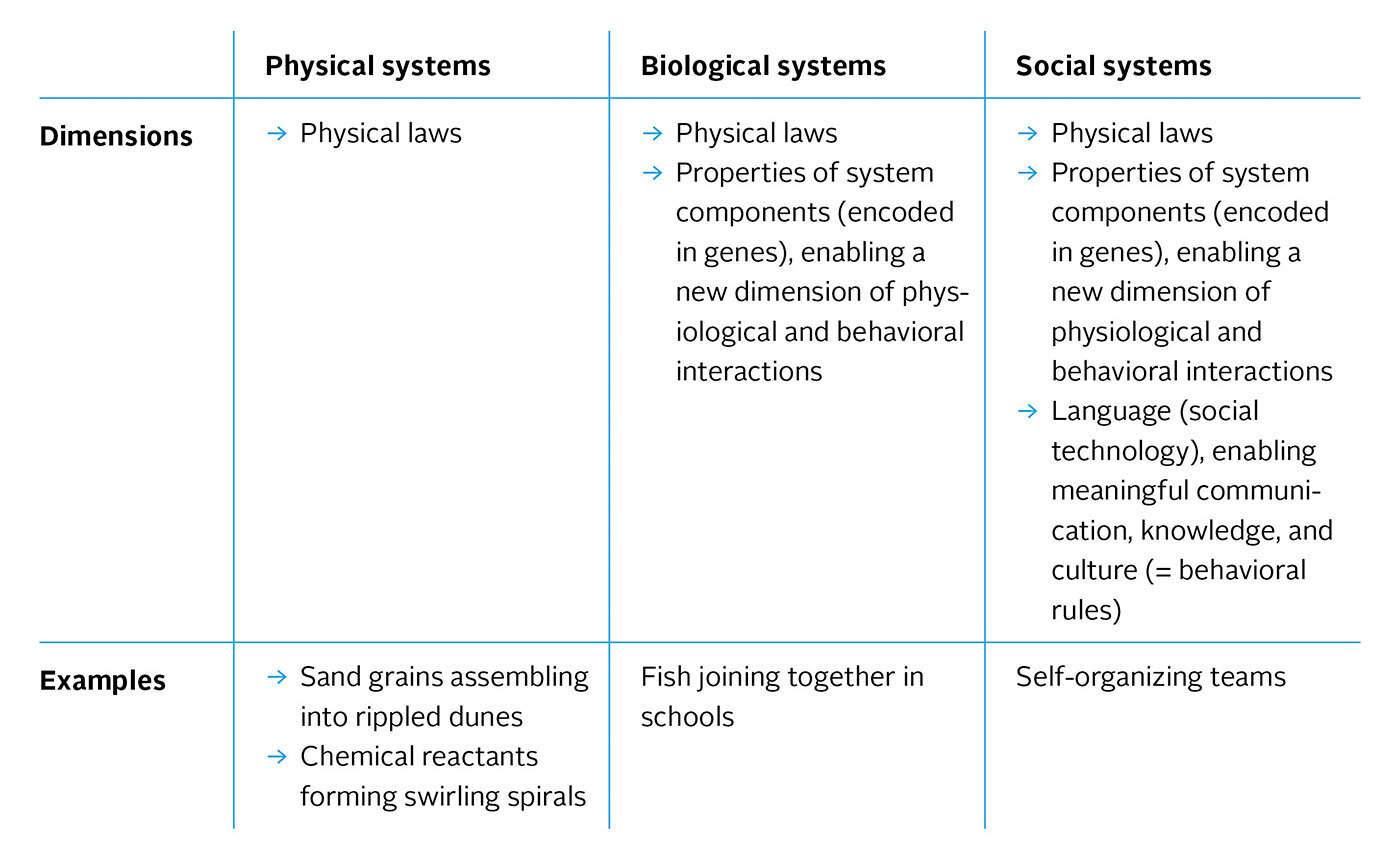 examples of social systems