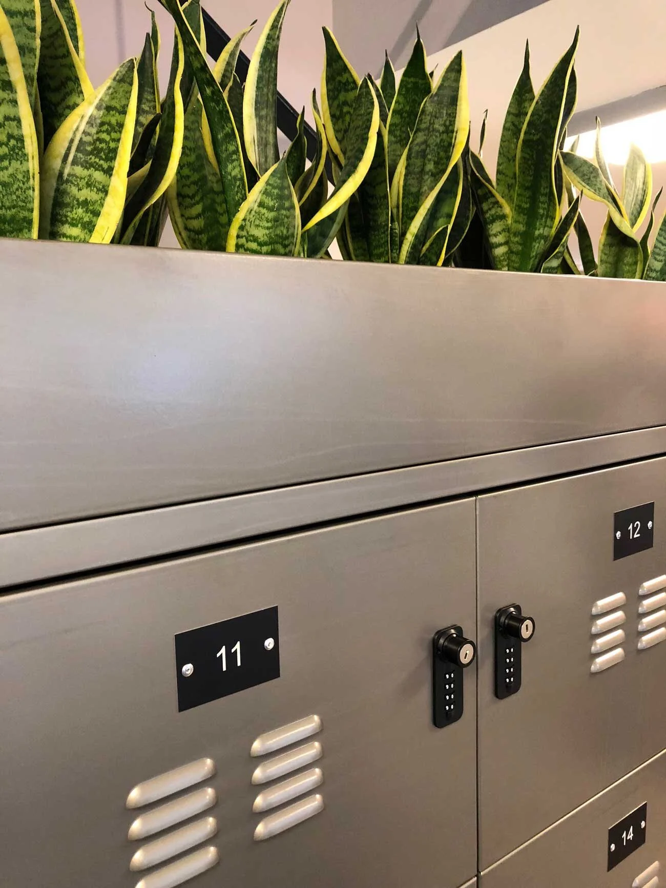 Manchester-GI-Locker-Office-web.jpg