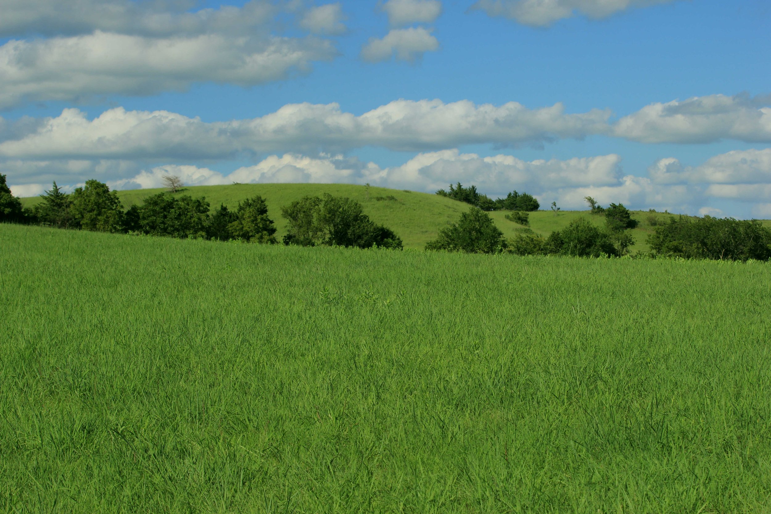 Otto — Kansas Land Trust