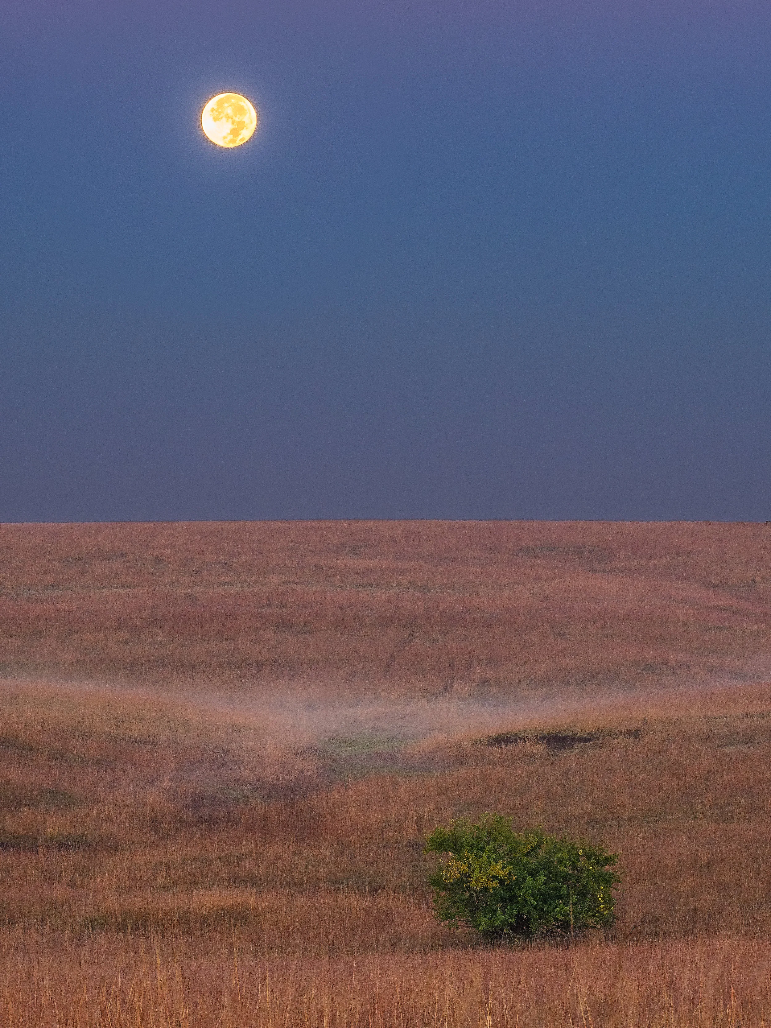 Kunze1_Hogle_Moon.jpg