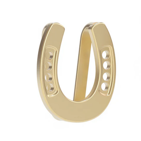 horseshoe Scarf Ring.png