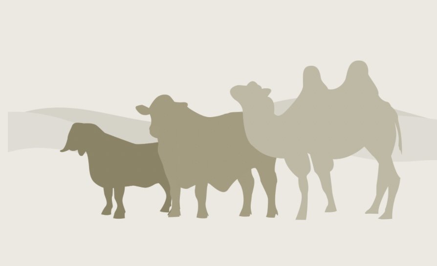 Qurbani On Behalf of Family Members
