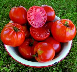 Top Ten Heirloom Tomato Varieties — Seed Savers Exchange Blog