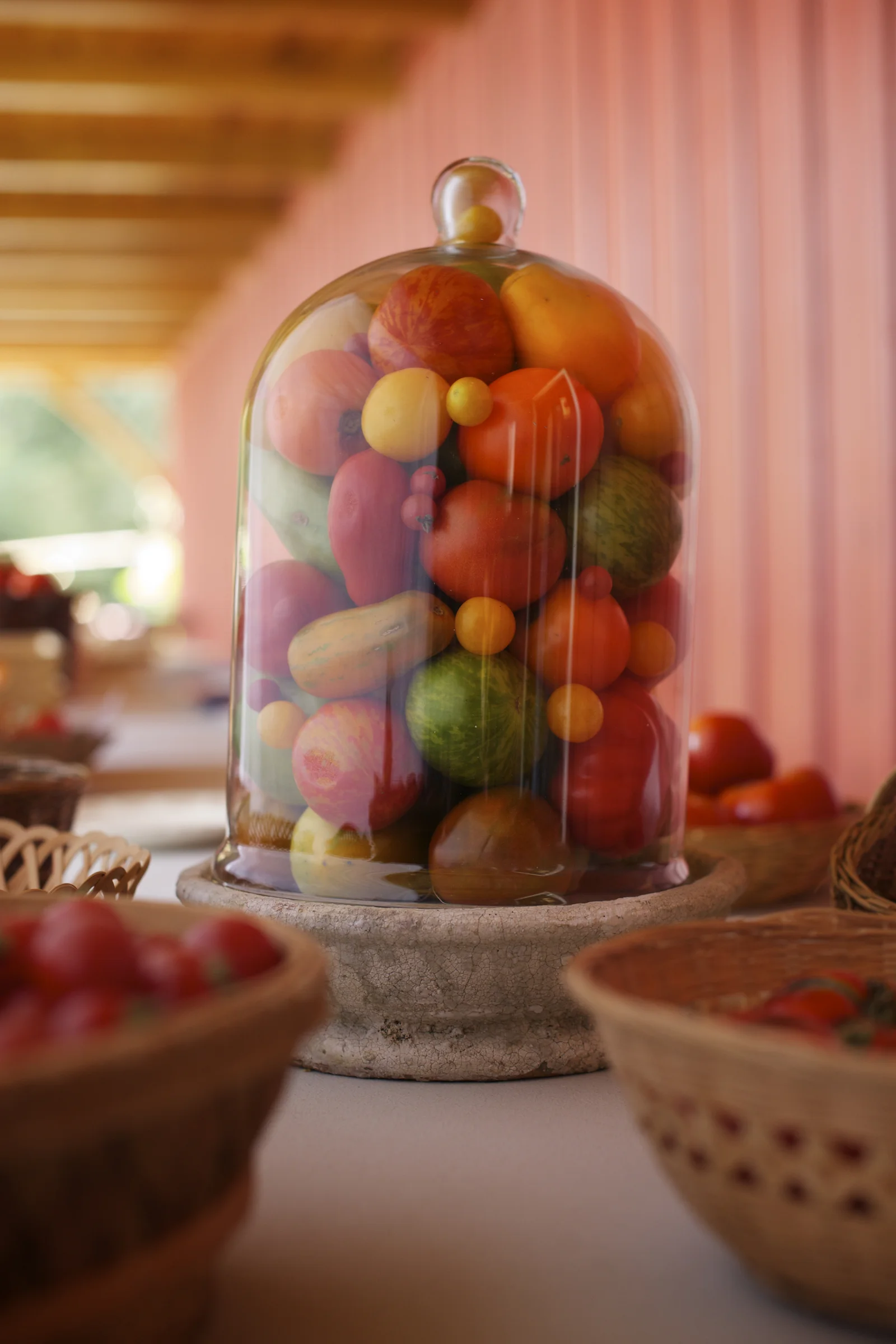 Tomato Cloche
