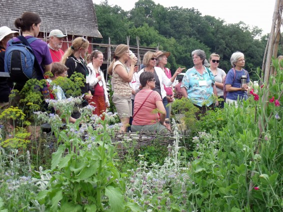 Diane's garden tour