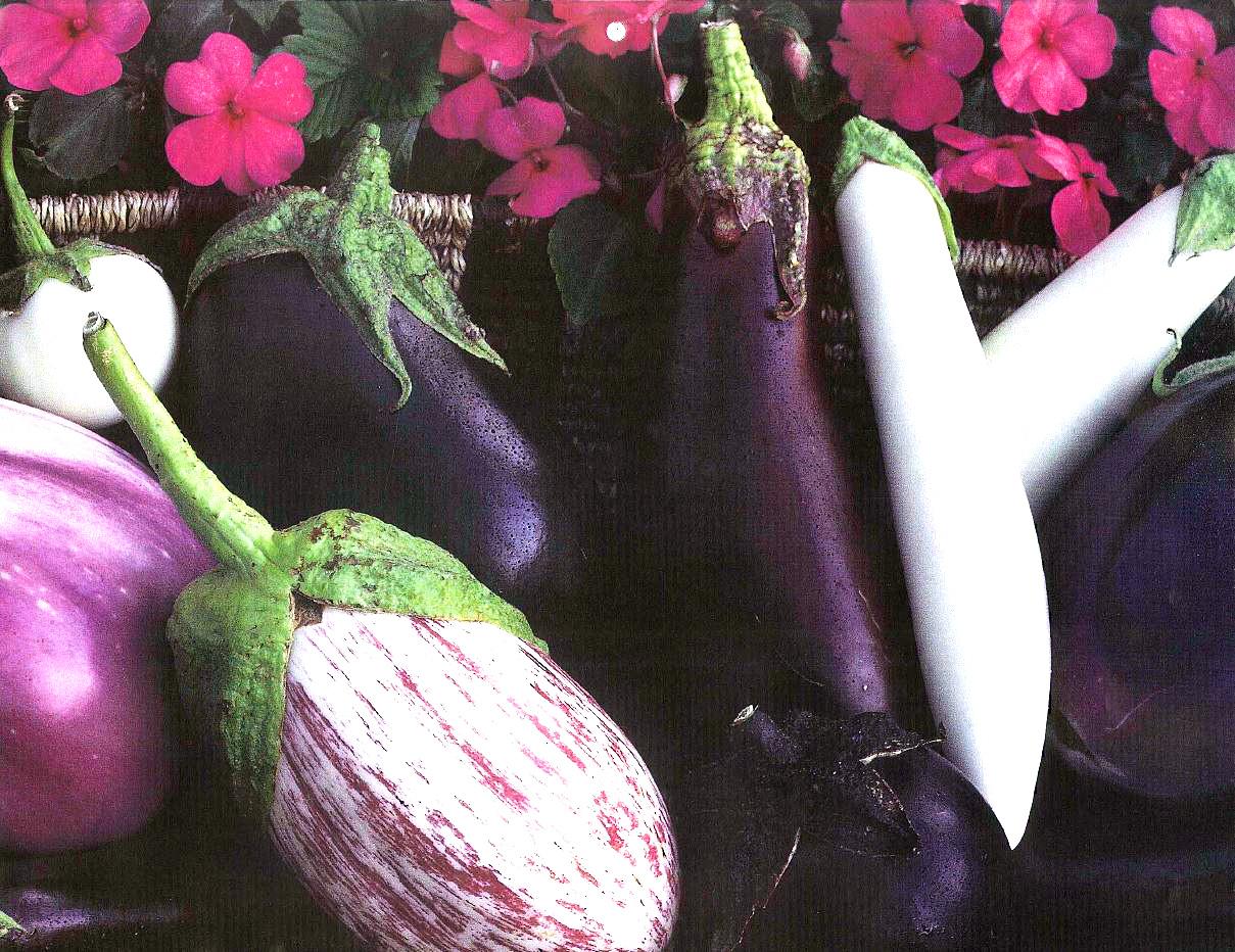 Heirloom Eggplant