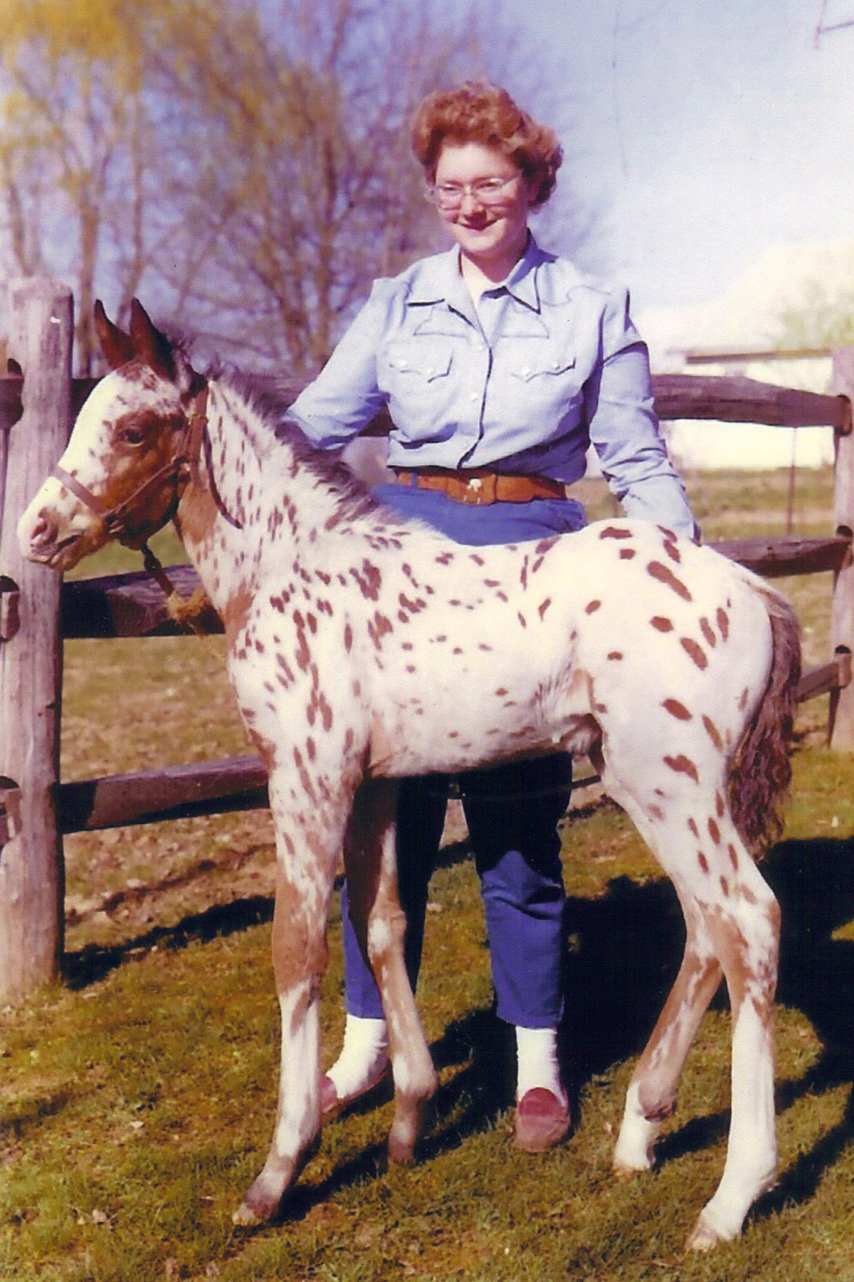 Mary Ann Fox