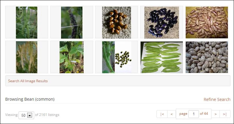 Online Seed Exchange