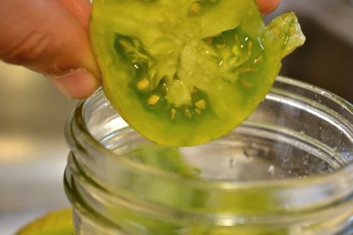  Squeeze the seeds and pulp into the container. 