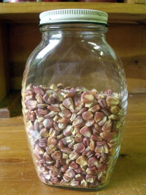 Jar-of-corn.jpg