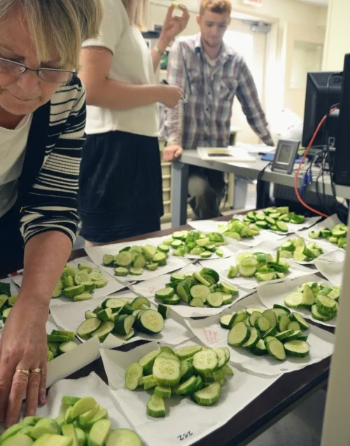 Varieties of cucumber grown out in 2014 at Seed Savers Exchange have notes associated with flavor/taste and texture documented along with growth habit and appearance.