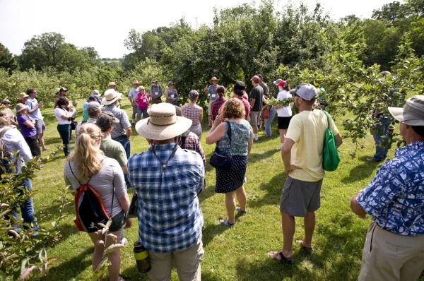 Conference attendees at Seed Savers Exchange learn the basics of apple grafting and tree care in the historic orchard, featuring nearly 900 varieties of apple.