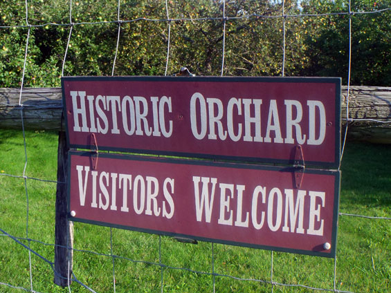 orchard-sign.jpg