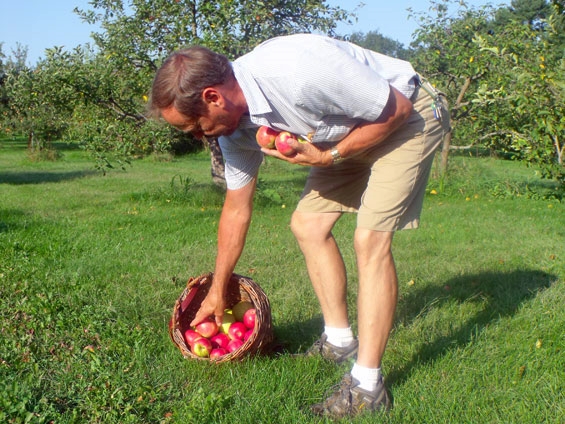 Dan-pickin-apples.jpg