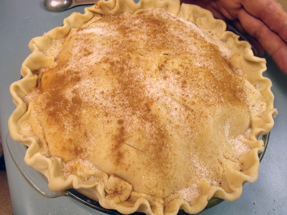 top-with-sugar.jpg