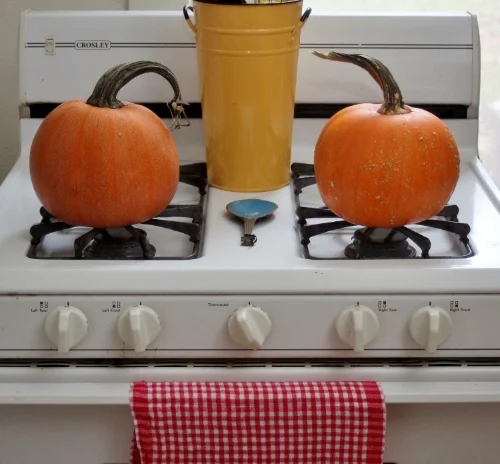 Winter Luxury squash are a manageable size for pie making... but it never hurts to have a few on hand to puree and save for later!
