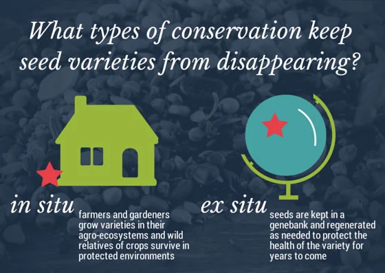 ConservationSSE.jpg