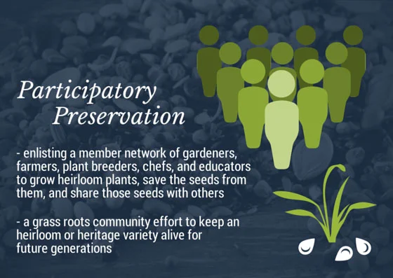 Participatory-Preservation-SSE.jpg
