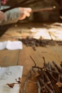 AppleGraftingSSE.jpg
