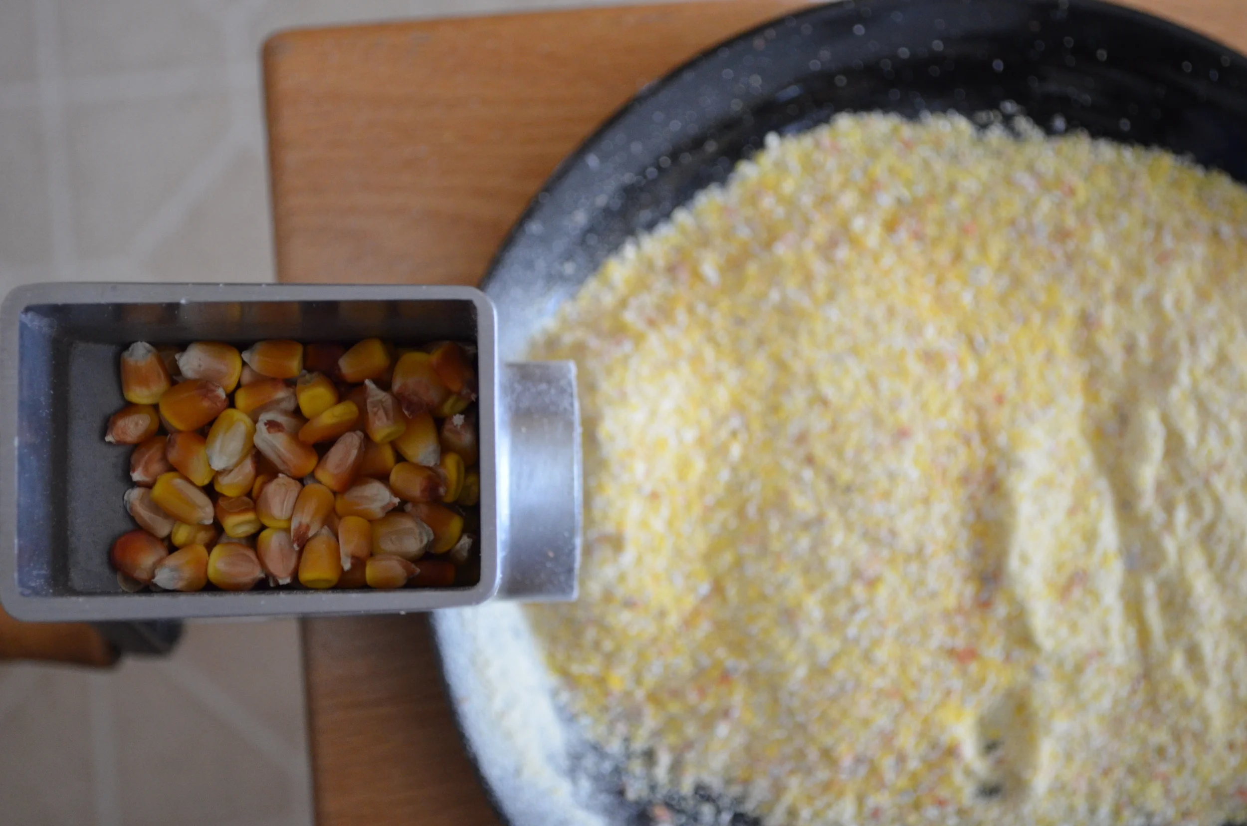True Grits — Seed Savers Exchange Blog