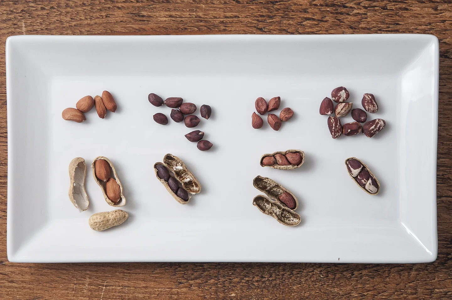 The Seed Garden A New Seed Saving Guide — Seed Savers Exchange Blog