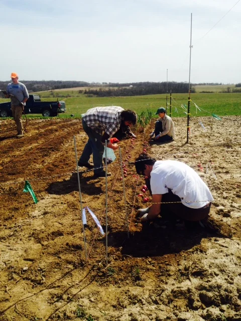 Field crew hard at work