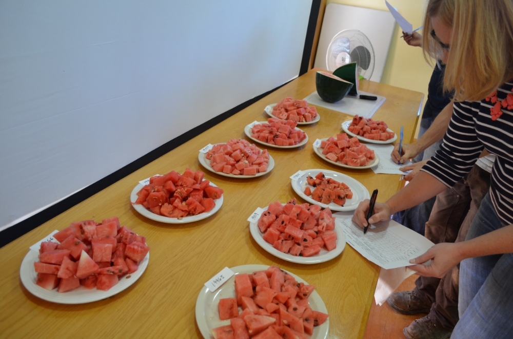 Taste evaluation