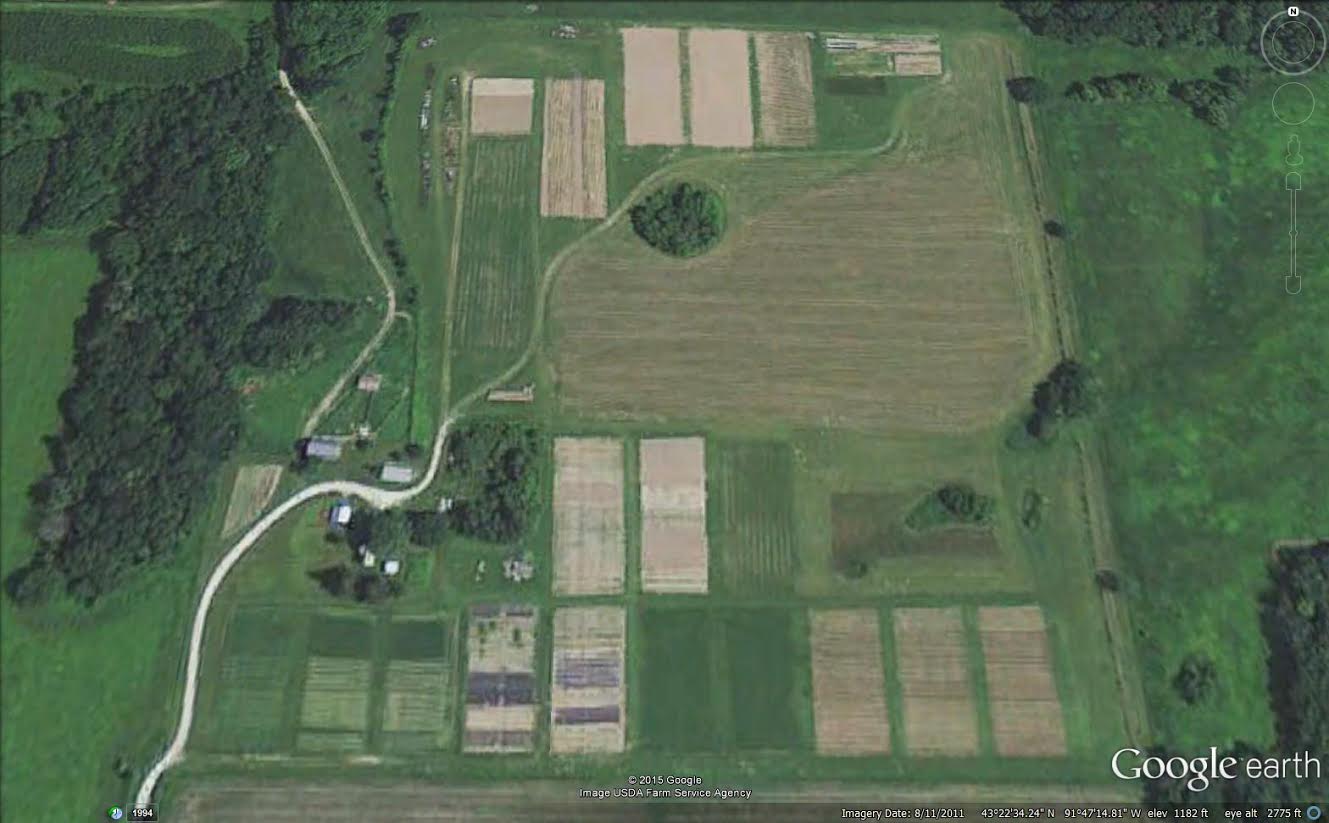A field with plots planted at isolation distances on Heritage Farm