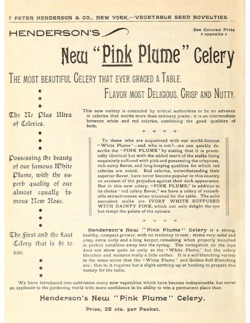 Page from the 1894 Peter Henderson catalog