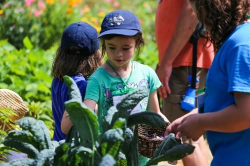 Children participating in “Diggers Club” during the Conference & Campout