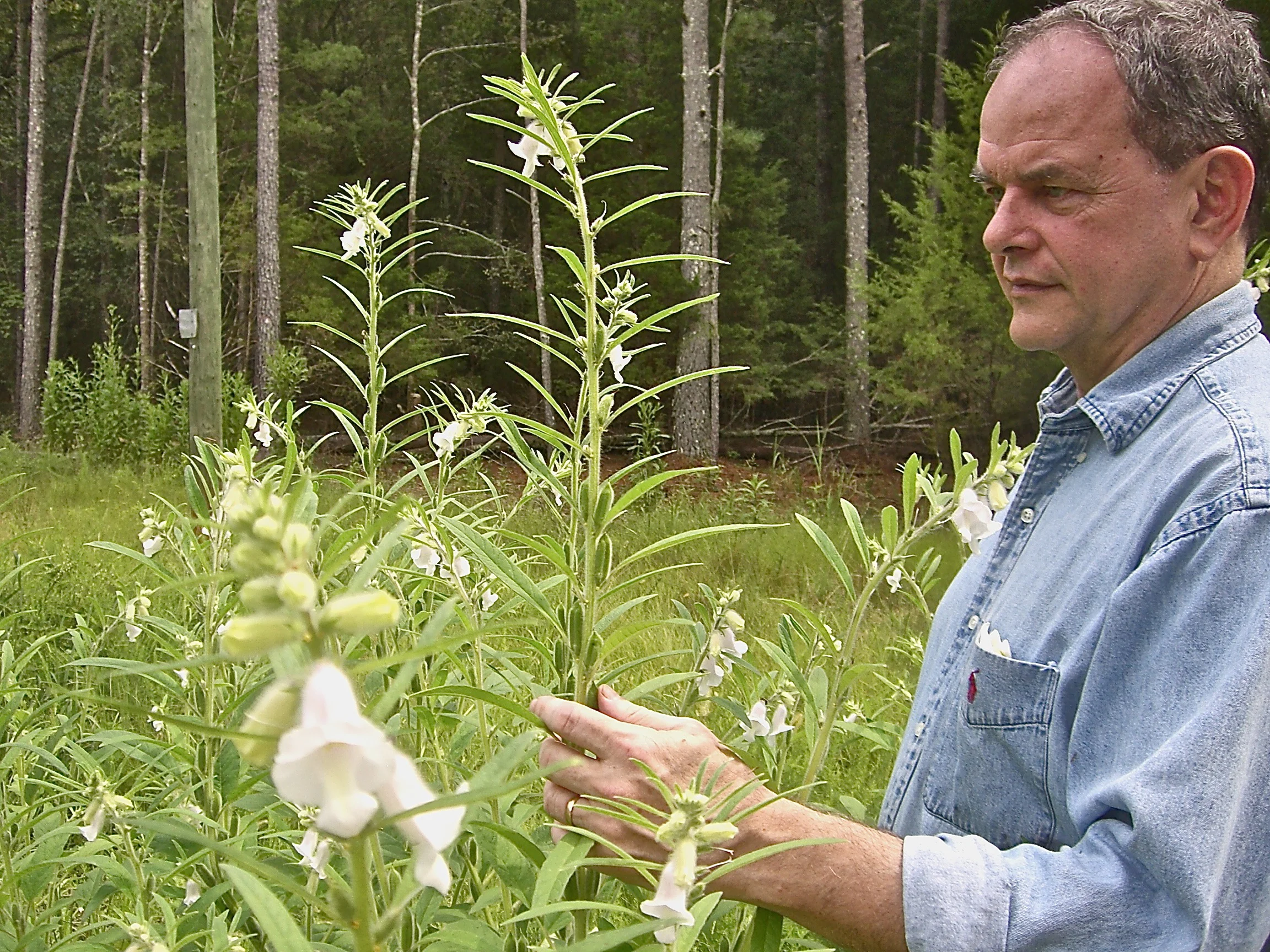 Dr. David Shields, author of Southern Provision: The Creation & Revival of a Cuisine
