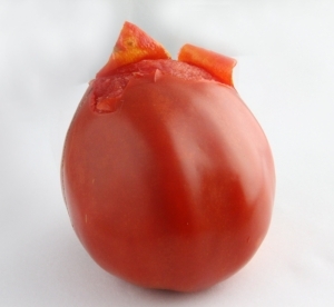 This red tomato has yellow skin over red flesh.