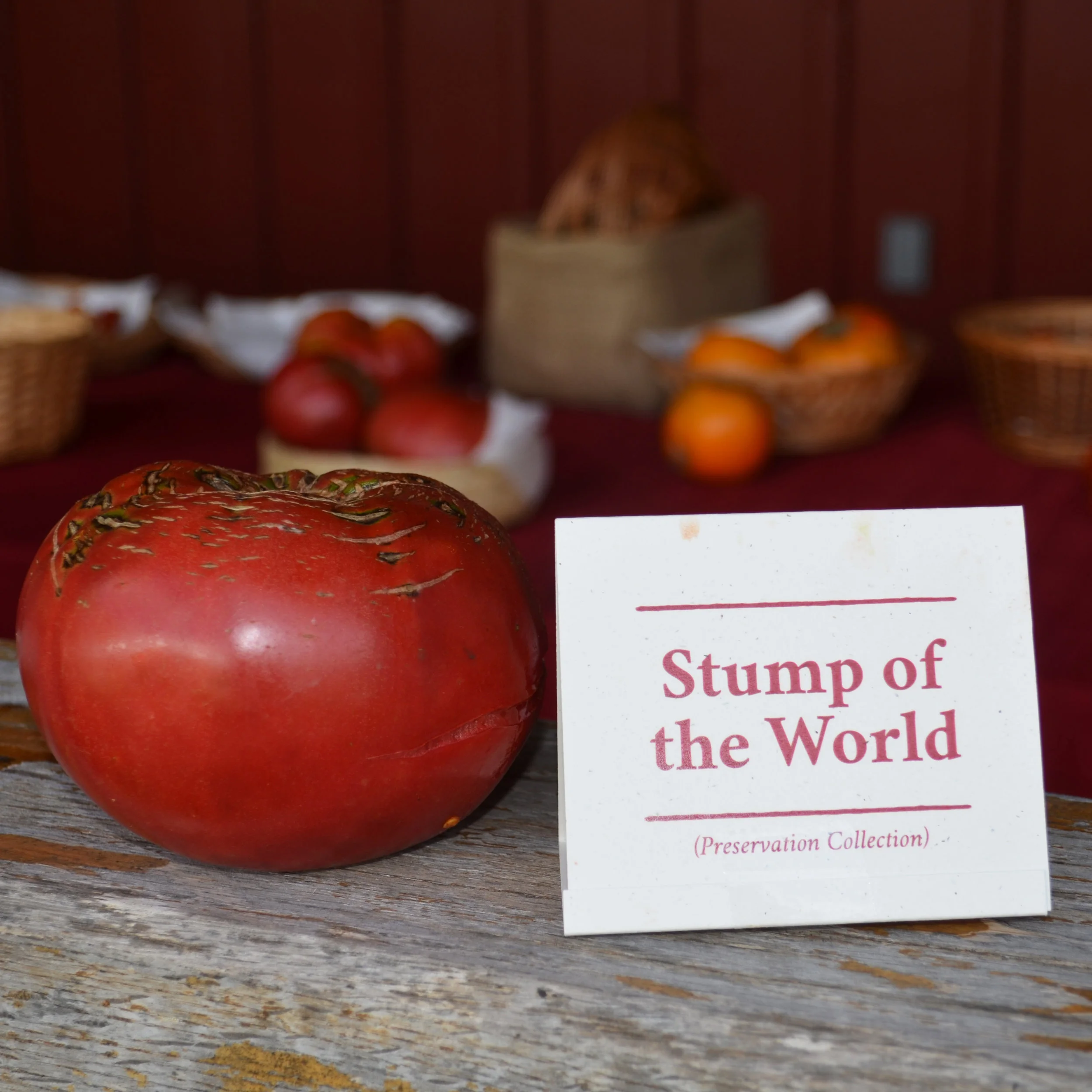 2016 Tomato Tasting Winners — Seed Savers Exchange Blog