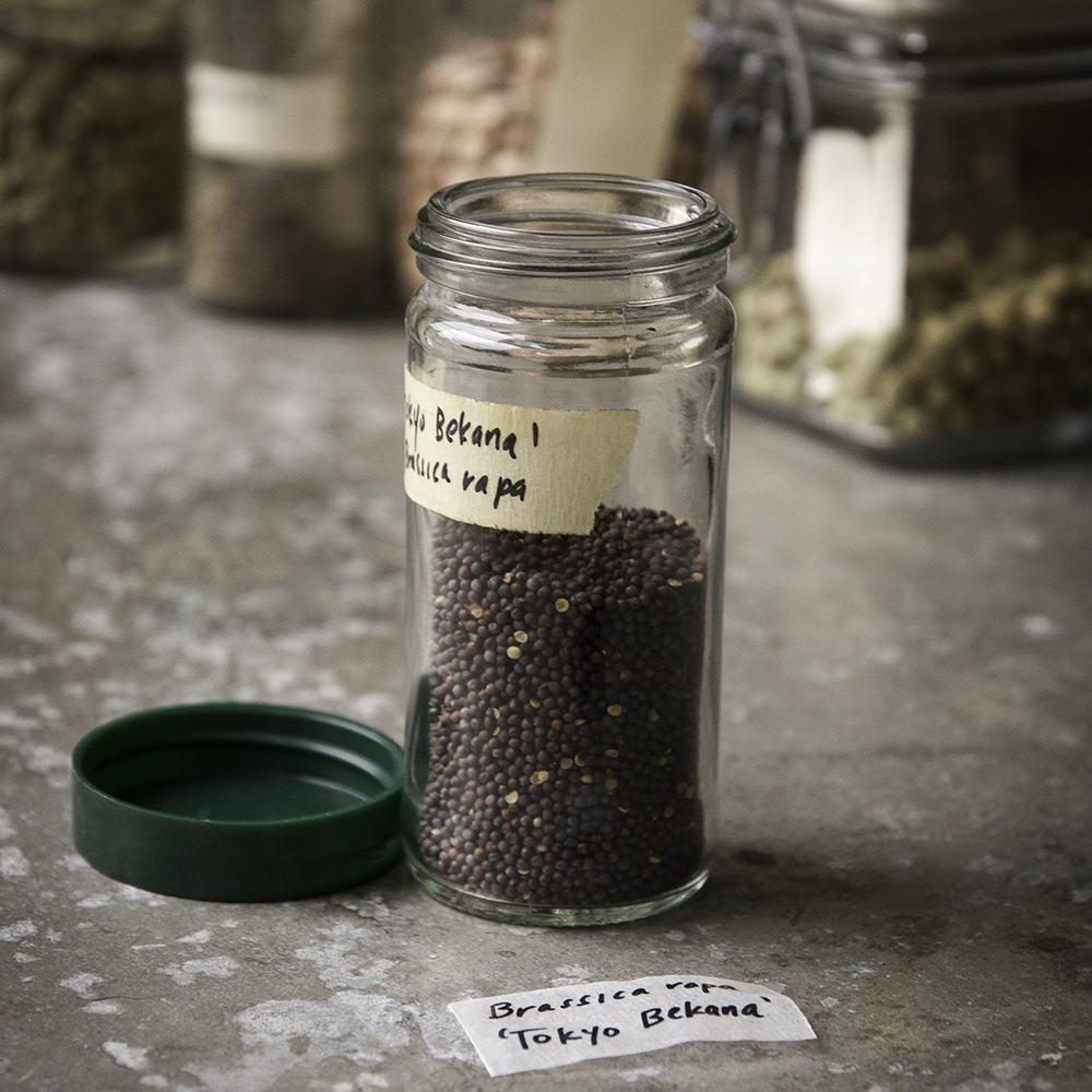 How to Store Seeds — Seed Savers Exchange Blog