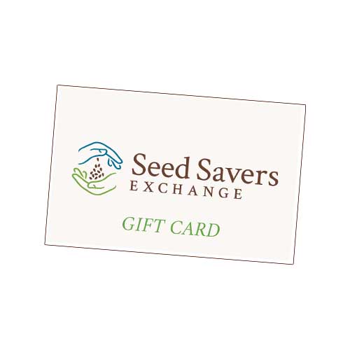 Gift card.jpg