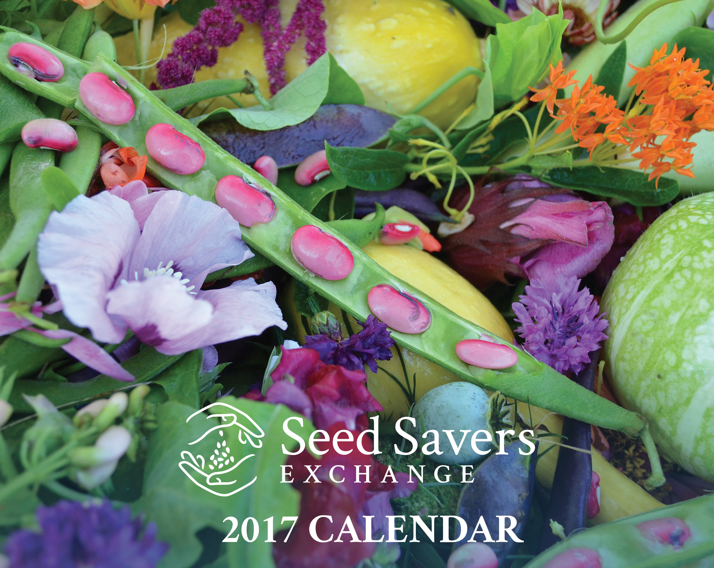 2017_SSE_Calendar-cover.jpg