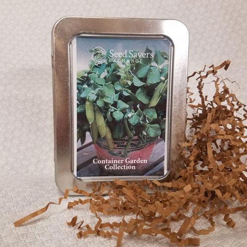 Container Garden Collection