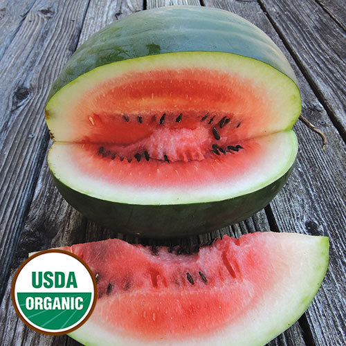 Funk Family Heirloom Watermelon