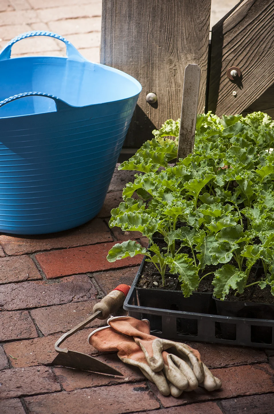 Are you chomping at the bit to swap your winter gloves for gardening gloves?