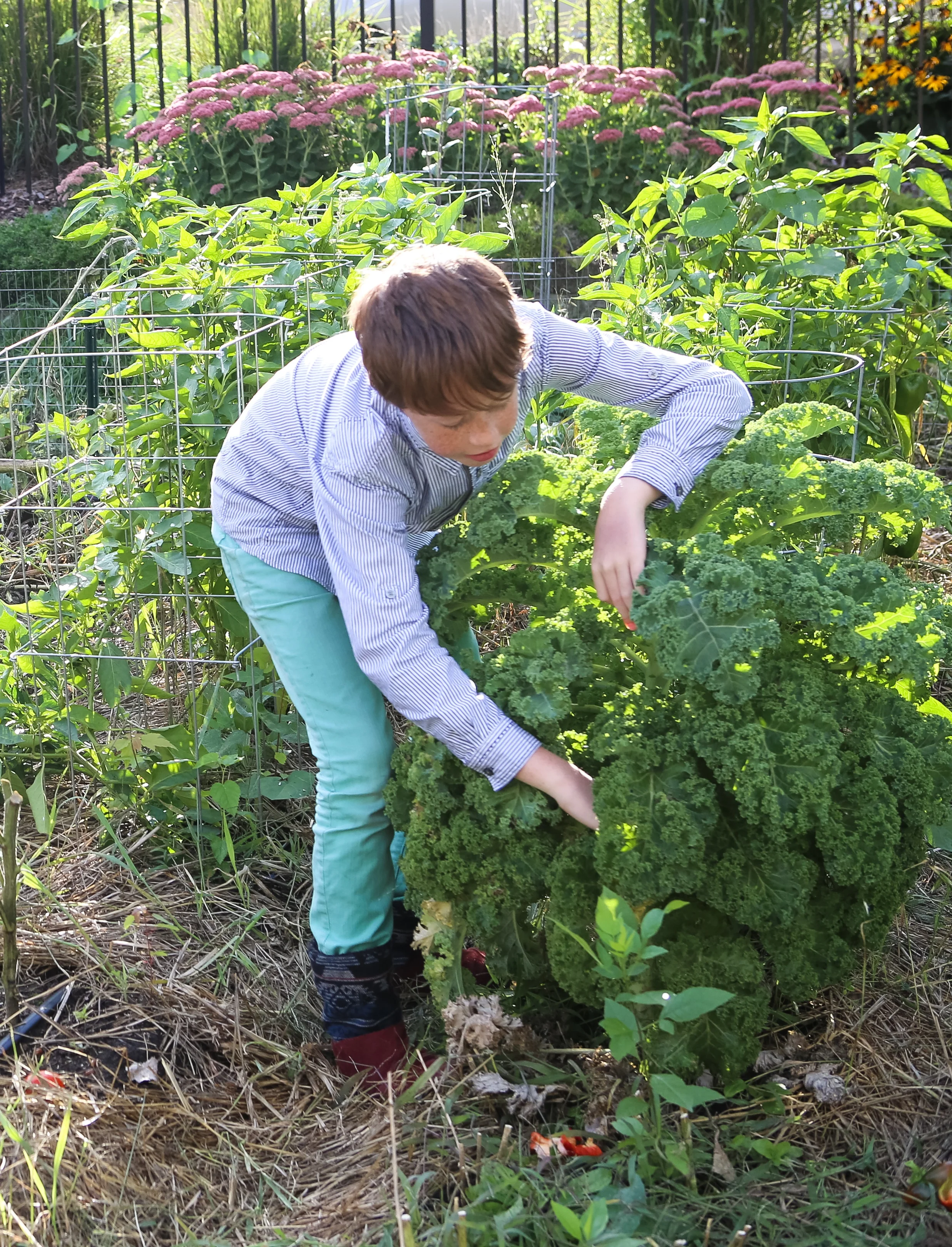 Share the gardening fun! Involve a kid (or kids) in your garden.