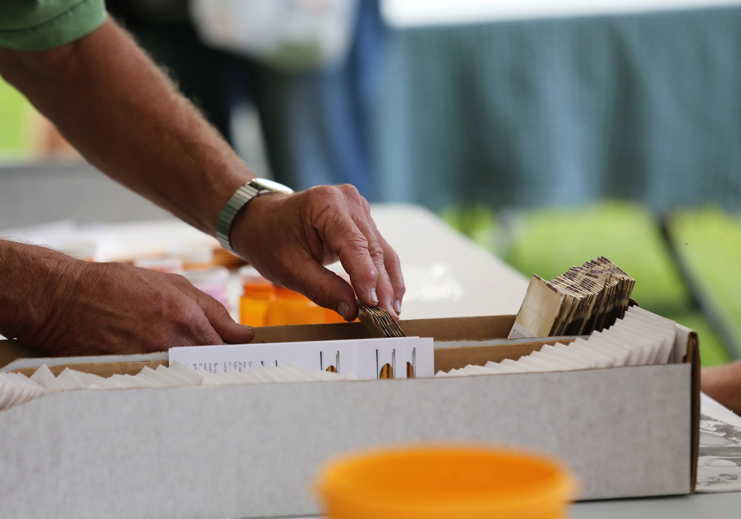 Can't Find a local seed swap? Try organizing one yourself!