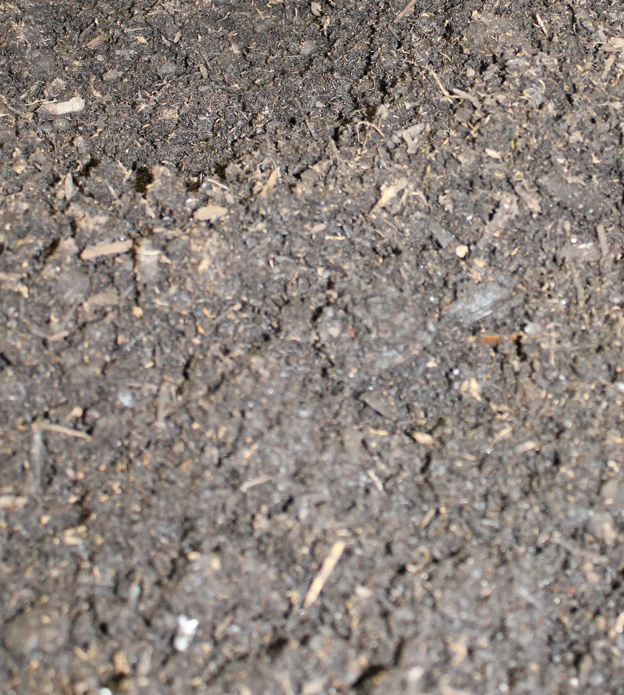 blog_soil.jpg