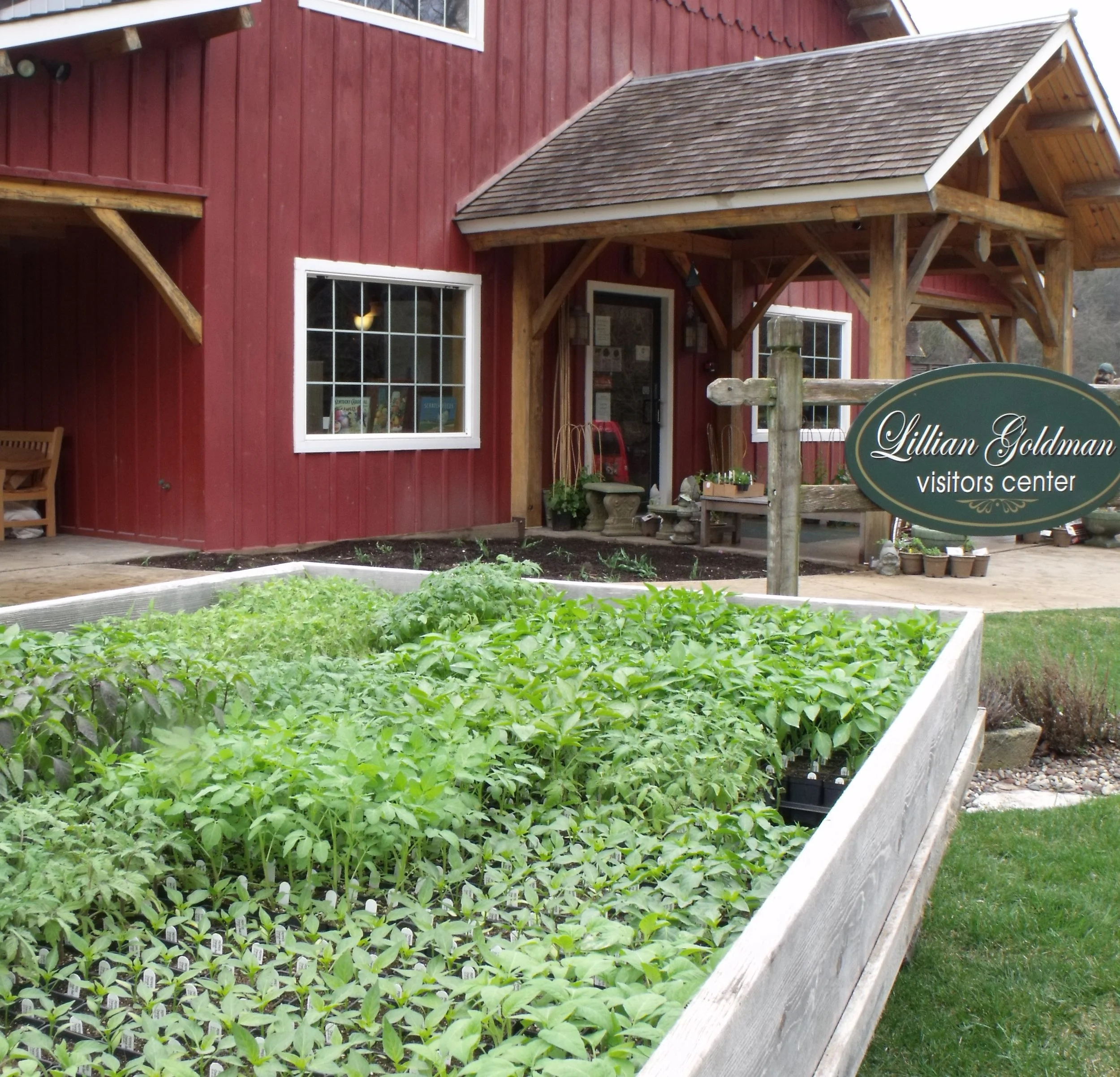 on April 1, the Lillian Goldman Visitors Center will start selling prairie plants and fruit trees. The center will introduce more plant varieties throughout april and into may for purchase by heritage Farm visitors. 