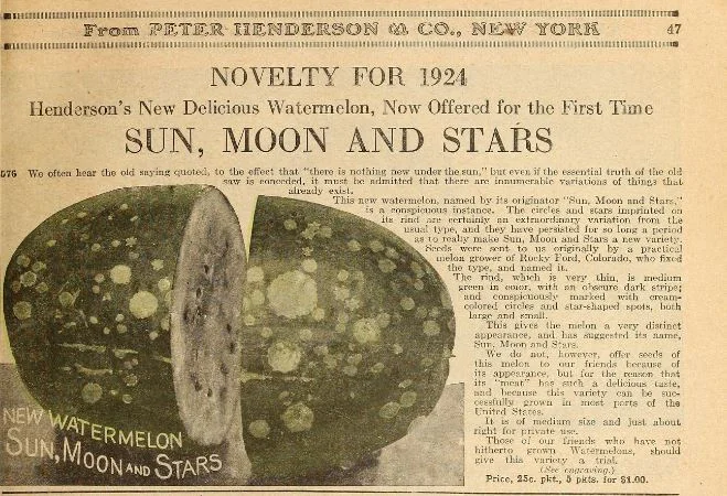From the 1924 Peter Henderson & Co. seed catalog.