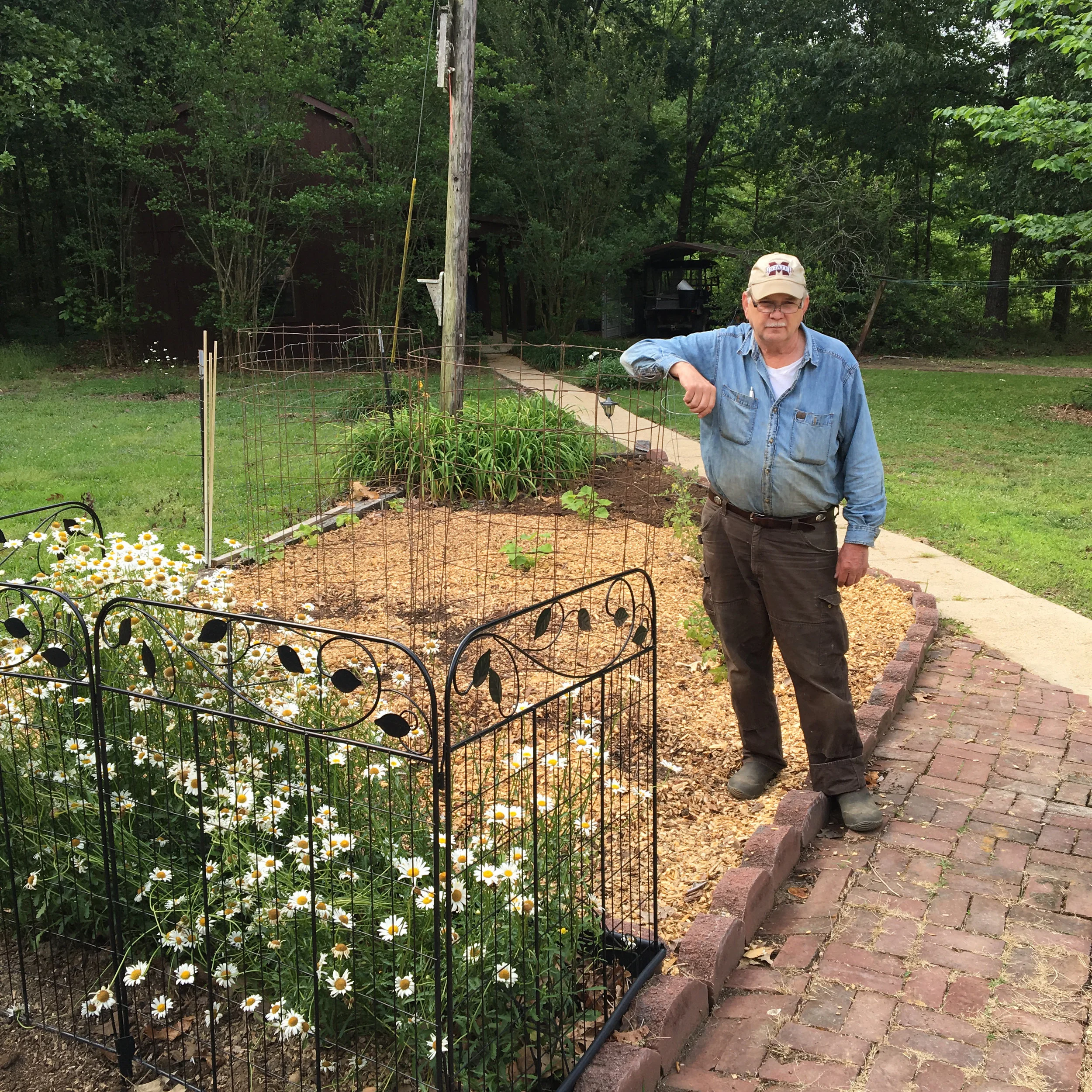 John Simmons poses in his garden after planting the ‘Grandma George’ bean that Seed Savers Exchange repatriated to him this spring.