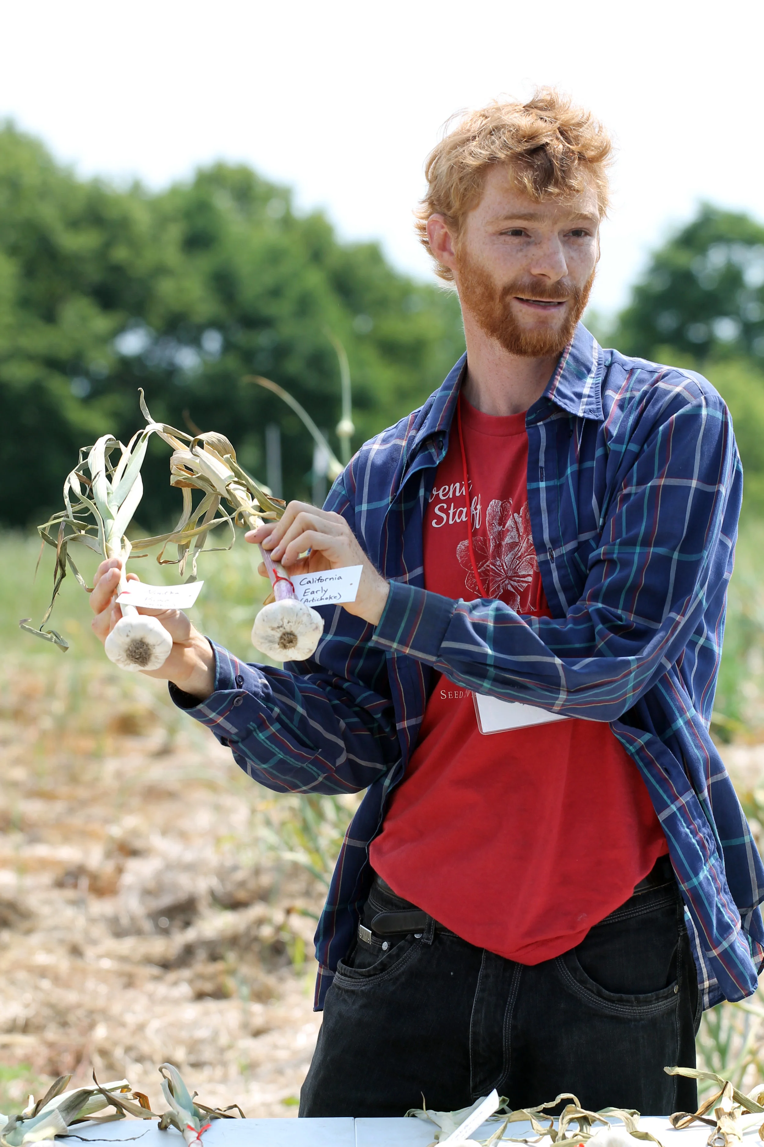 Post author Mirsky displays two varieties of garlic grown at Seed Savers Exchange during a workshop held at the organization's 2017 Conference and Campout.